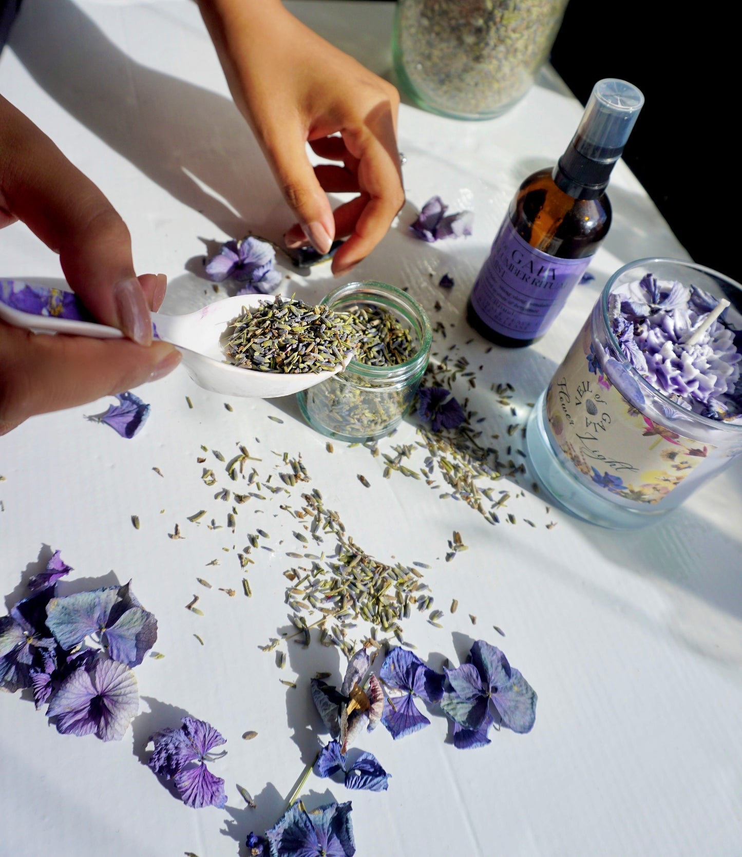Email-Only Herbal Wellness Plan