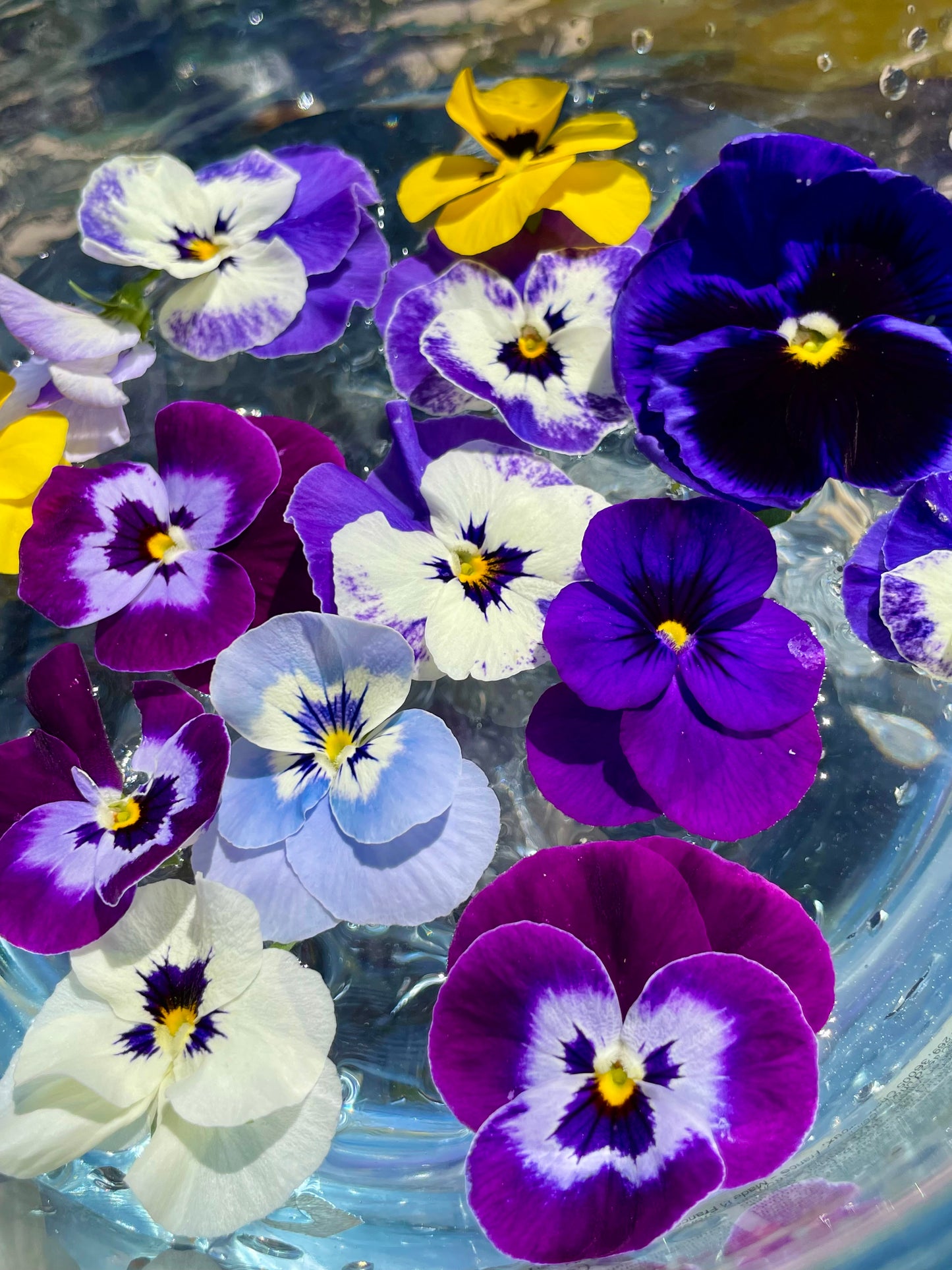 Custom Flower Essence