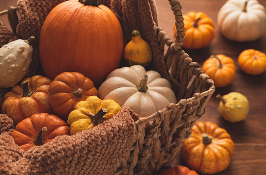 Pumpkin: A Herbal & Historical Profile