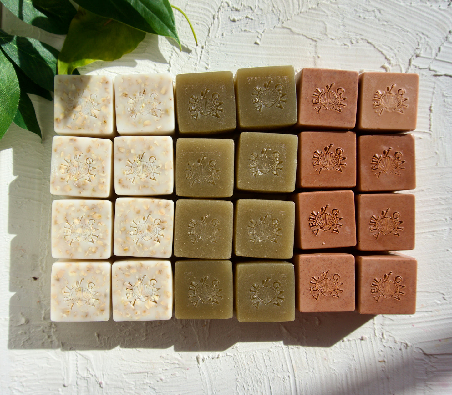 Organic Skin Cleansing Soap Minis